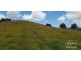 Millaa Millaa QLD 4886