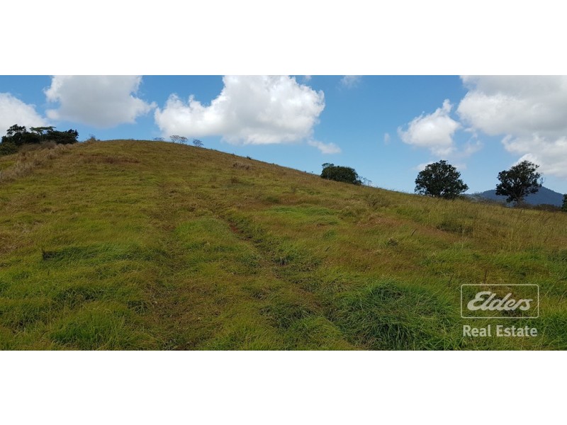 Millaa Millaa QLD 4886