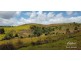 Millaa Millaa QLD 4886