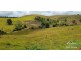 Millaa Millaa QLD 4886
