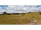 Millaa Millaa QLD 4886