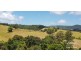 Millaa Millaa QLD 4886