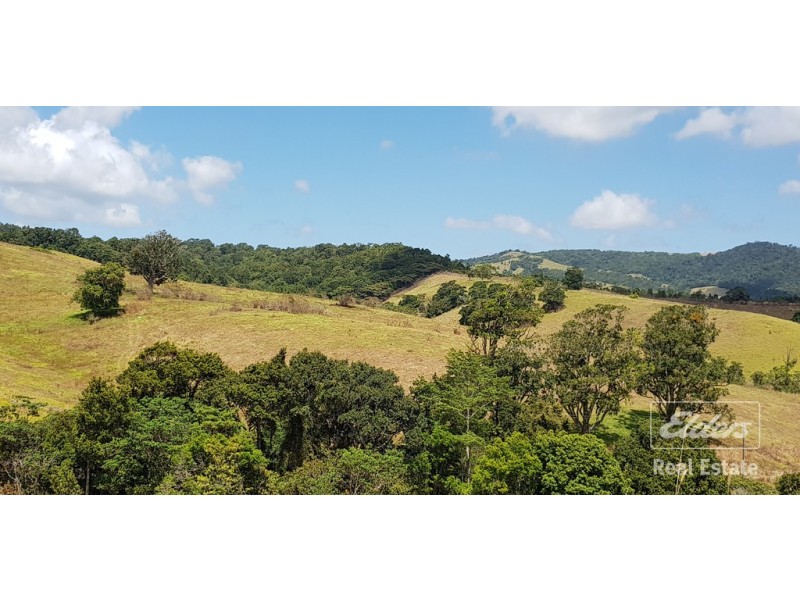 Millaa Millaa QLD 4886
