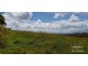 Millaa Millaa QLD 4886