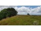 Millaa Millaa QLD 4886