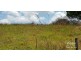 Millaa Millaa QLD 4886