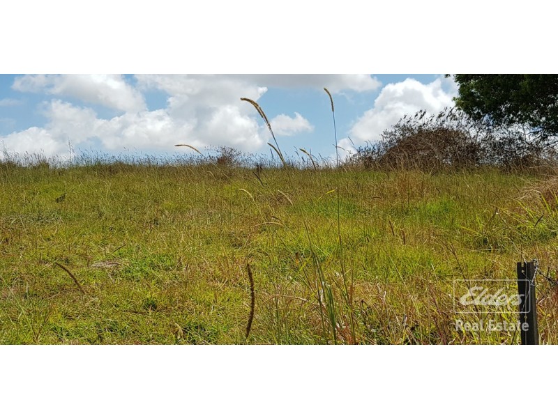 Millaa Millaa QLD 4886