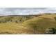 Millaa Millaa QLD 4886