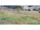 Millaa Millaa QLD 4886