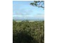 Lake Barrine QLD 4884