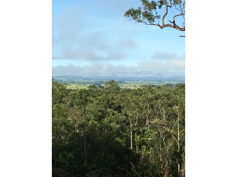 Lake Barrine QLD 4884