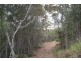 Lake Barrine QLD 4884