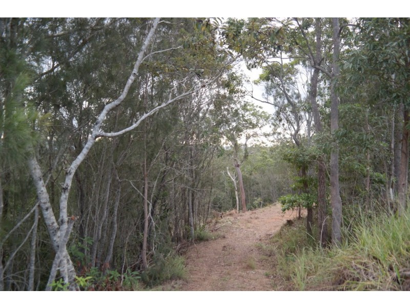 Lake Barrine QLD 4884