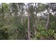 Lake Barrine QLD 4884