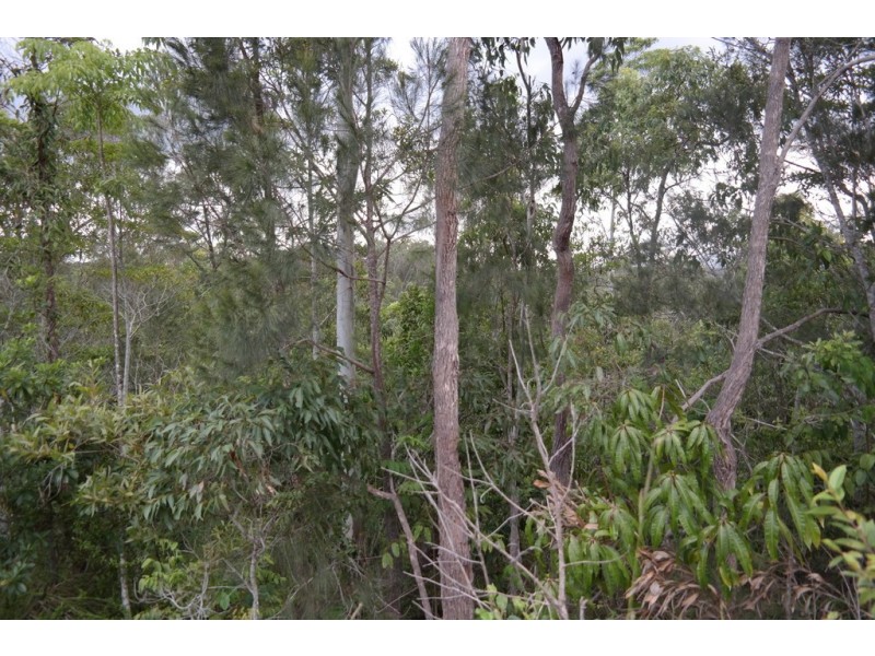 Lake Barrine QLD 4884