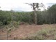 Lake Barrine QLD 4884