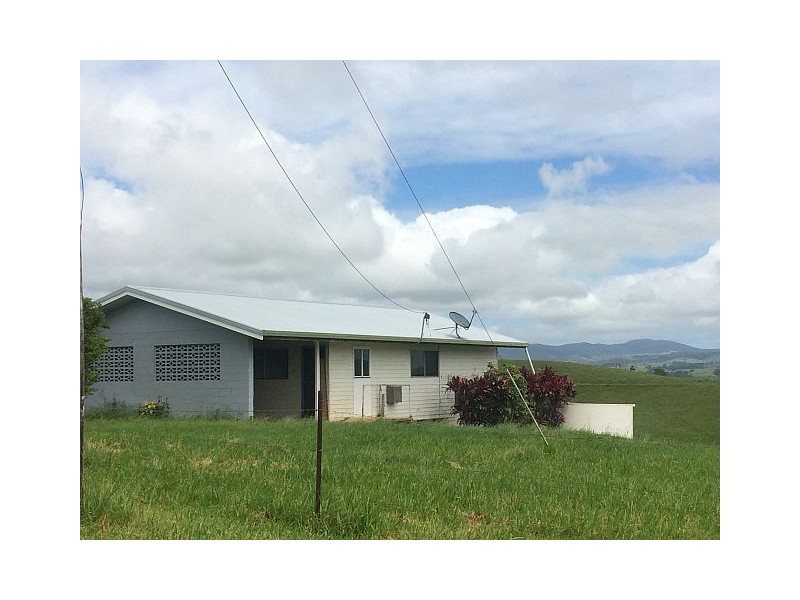 Millaa Millaa QLD 4886