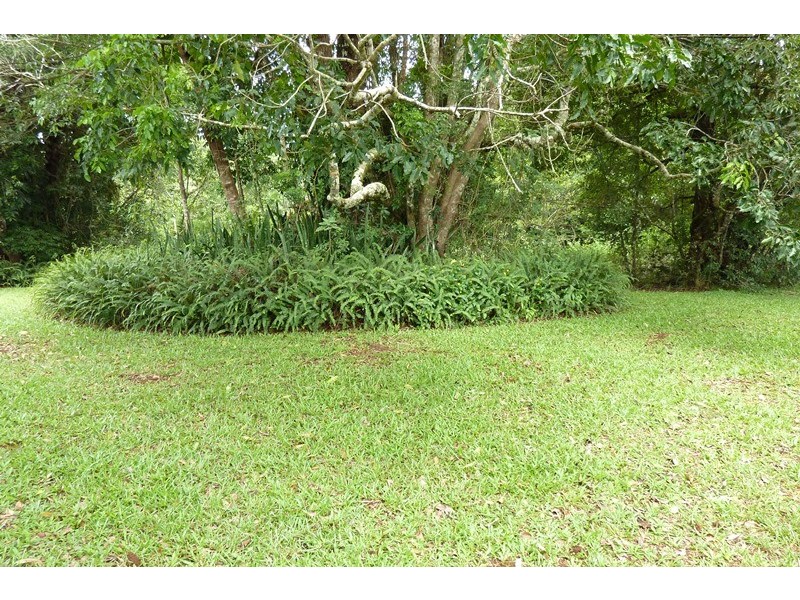 Lake Eacham QLD 4884