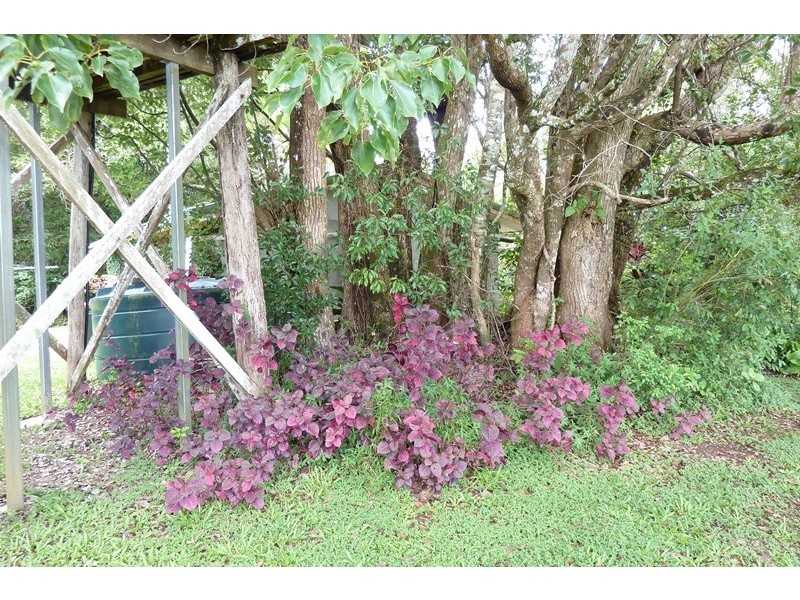 Lake Eacham QLD 4884