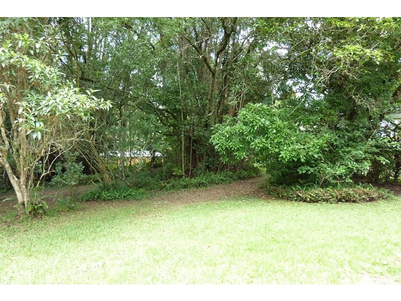 Lake Eacham QLD 4884