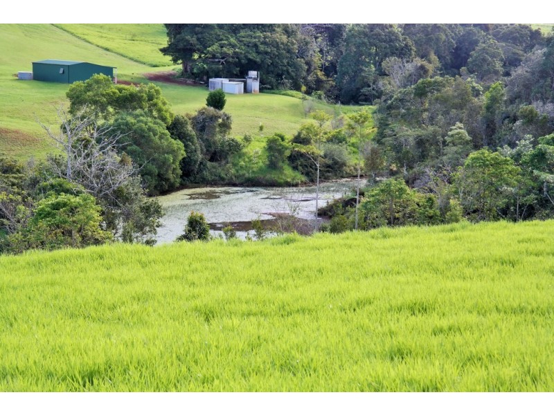 Malanda QLD 4885
