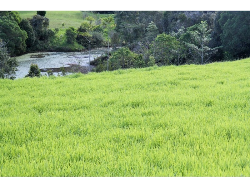 Malanda QLD 4885