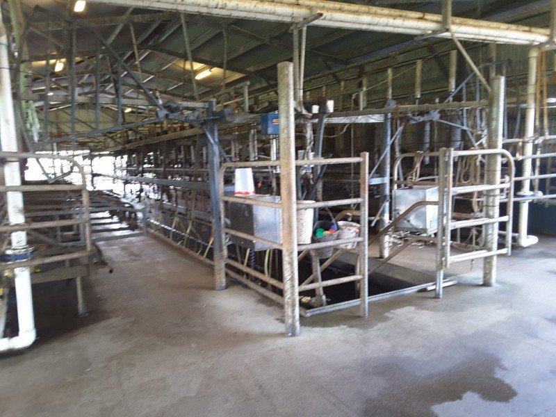 Ravenshoe QLD 4888
