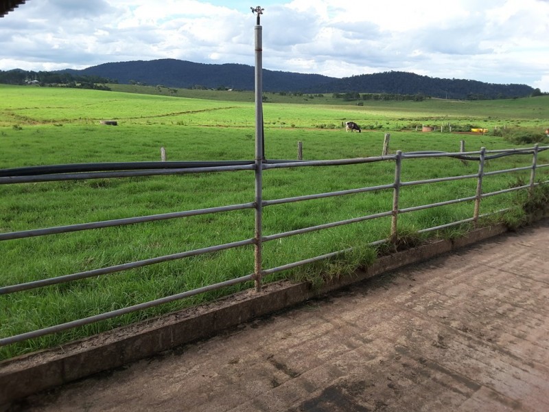 Ravenshoe QLD 4888