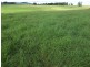 Ravenshoe QLD 4888