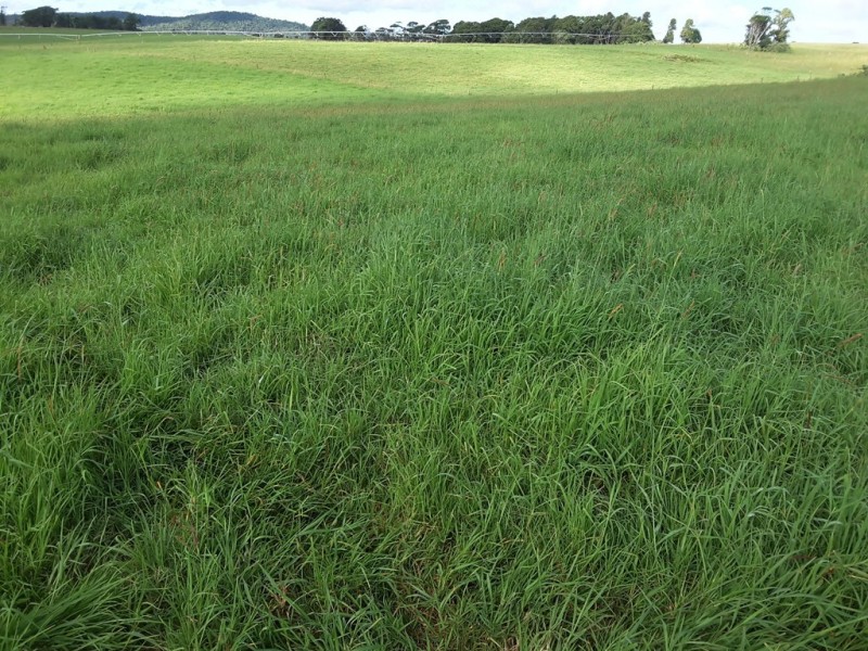 Ravenshoe QLD 4888