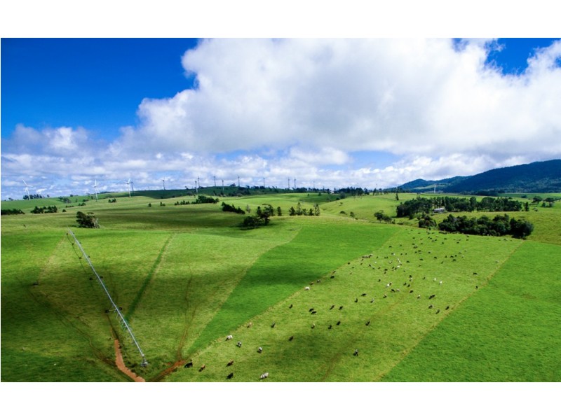 Ravenshoe QLD 4888