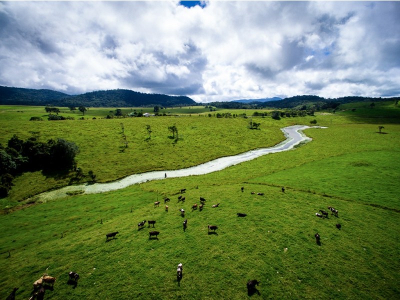 Ravenshoe QLD 4888