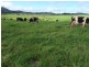Ravenshoe QLD 4888