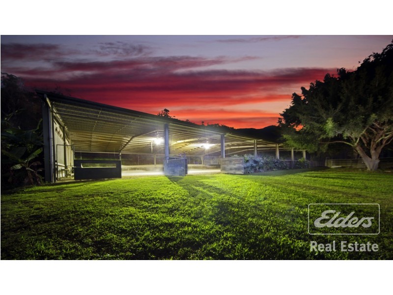 Carrington QLD 4883