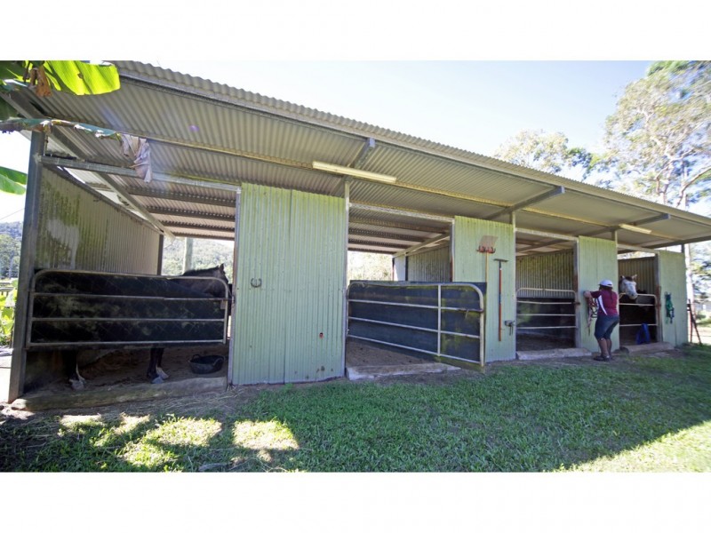 Carrington QLD 4883