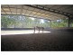 Carrington QLD 4883