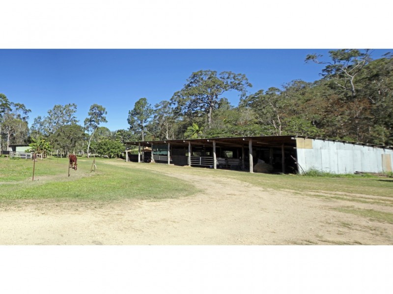 Carrington QLD 4883