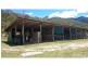 Carrington QLD 4883