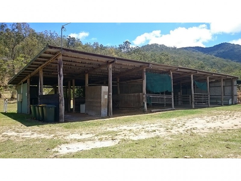 Carrington QLD 4883