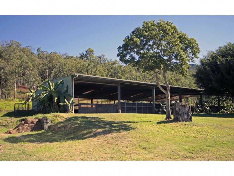 Carrington QLD 4883