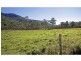 Carrington QLD 4883