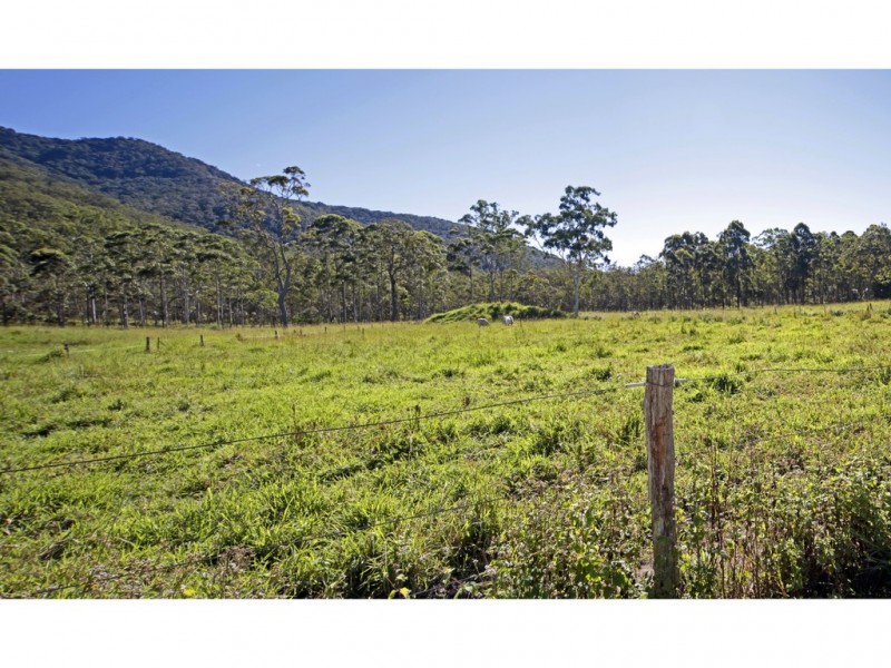 Carrington QLD 4883