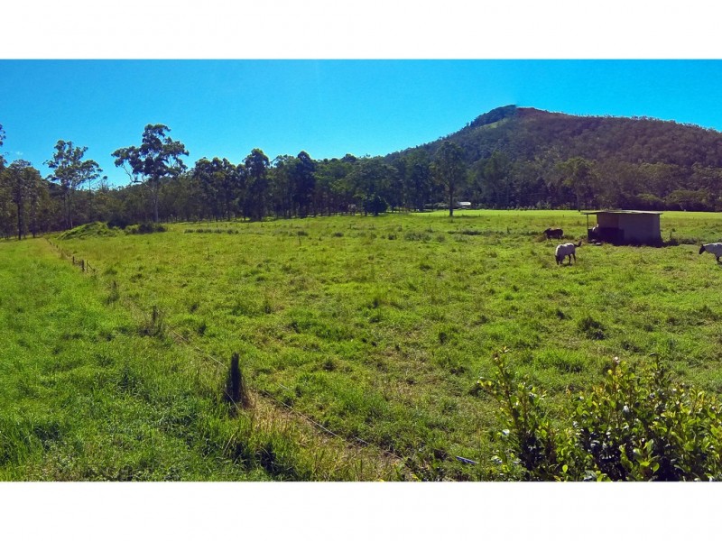 Carrington QLD 4883