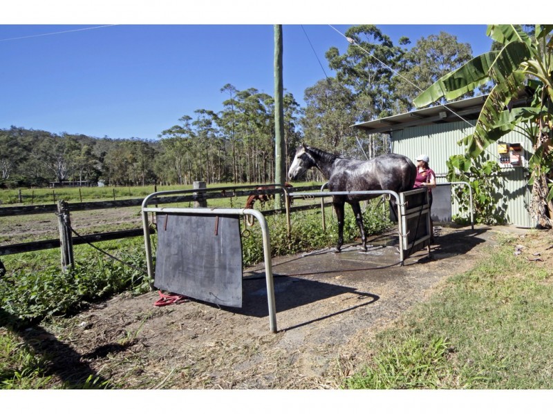 Carrington QLD 4883