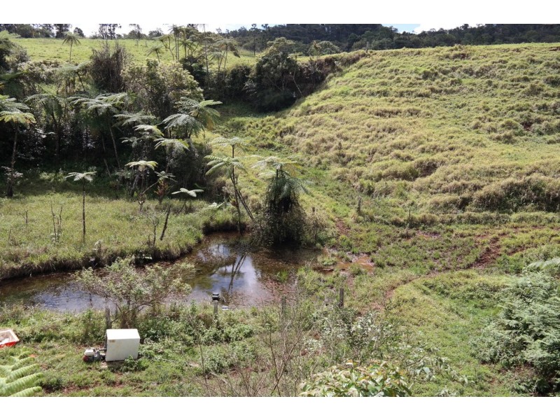 Millaa Millaa QLD 4886