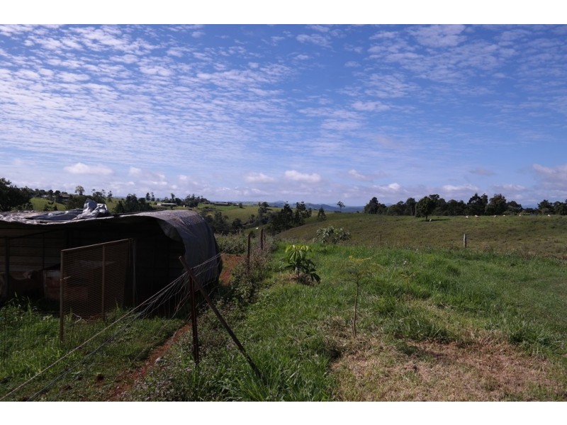 Millaa Millaa QLD 4886