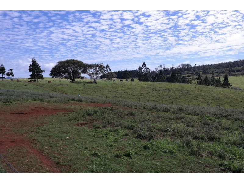 Millaa Millaa QLD 4886