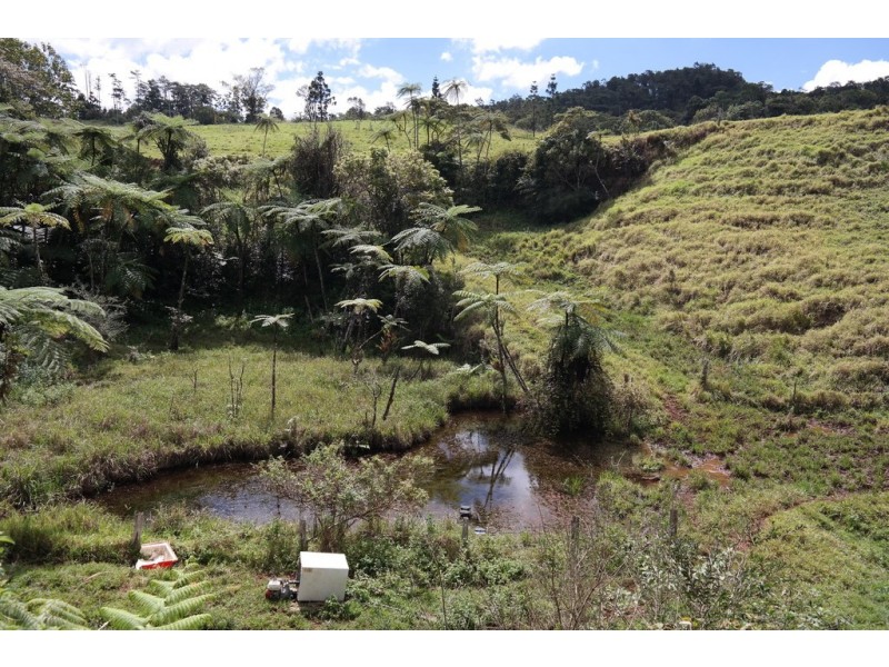 Millaa Millaa QLD 4886