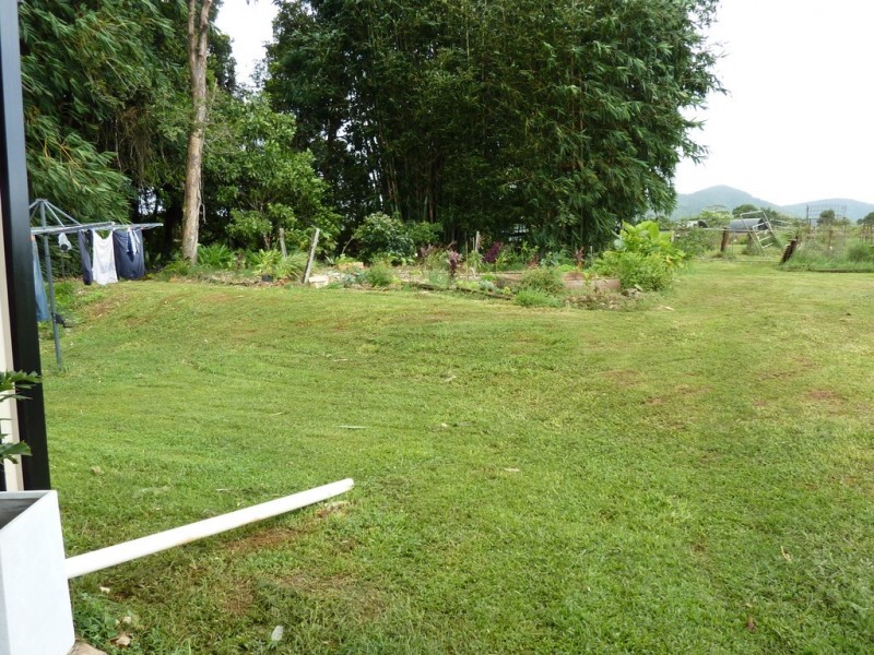 Millaa Millaa QLD 4886