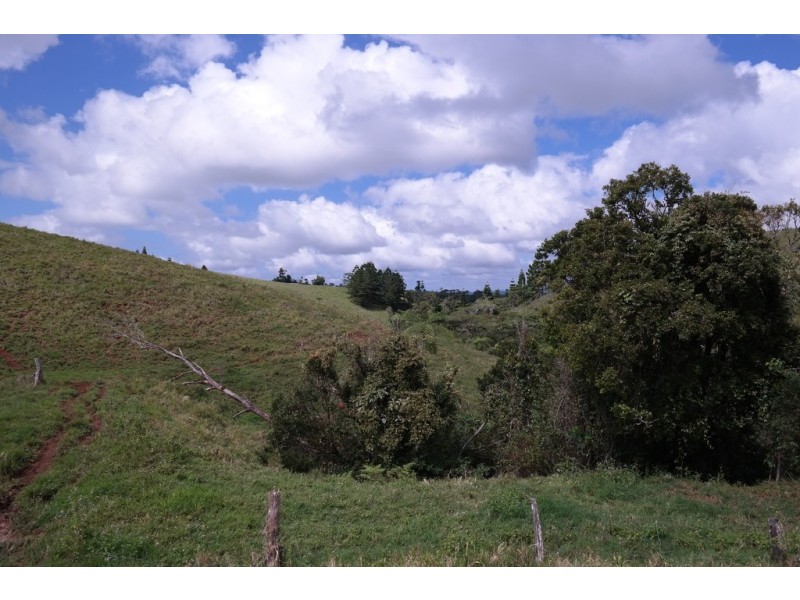 Millaa Millaa QLD 4886